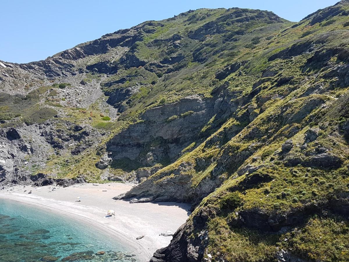 Le Palme Holidays Palmadula Zewnętrze zdjęcie